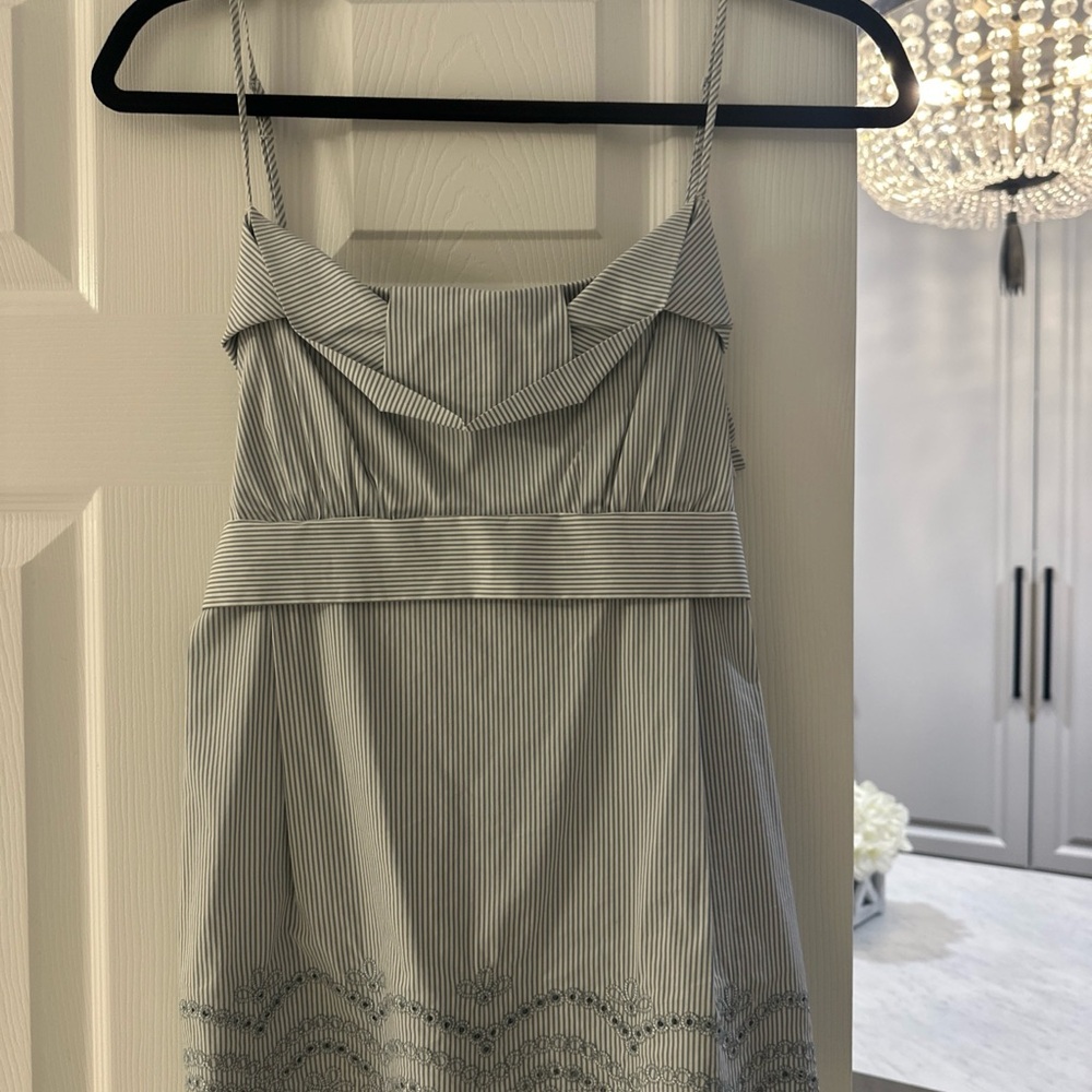 BCBGMaxAzria Blue and White Striped Tank Top with Embroidery